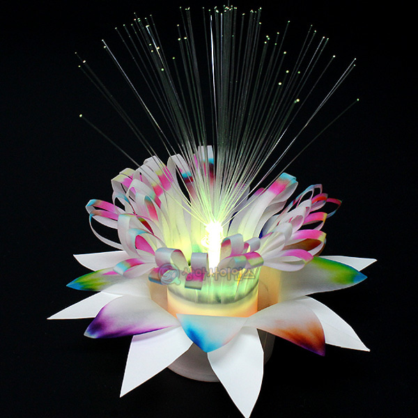 LED 크로마토그래피 꽃 가습기 [1인용]